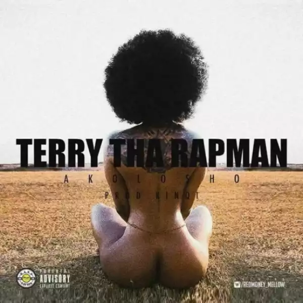 Terry Tha Rapman - Akolosho